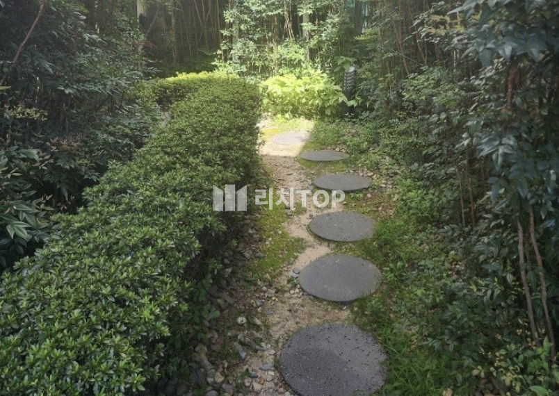 경남 창원시 성산구 대방동 창원 대방동 1층 상가 임대 주택상가 웨딩샵 드레스샵 테일러샵 테라스 월세 매물번호 12411 사진 4