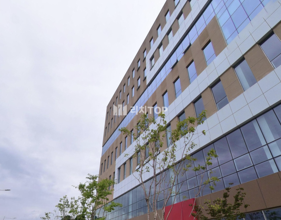 부산 강서구 명지동 부산 명지국제신도시 상업 빌딩 상가 매매 근린생활시설 180평 매매 매물번호 12472 사진 2