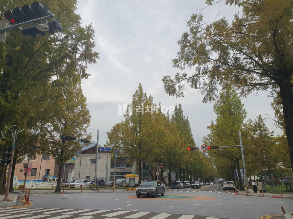 경남 창원시 성산구 용호동 \u2714\ufe0f창원 용호동 가로수길 상가임대 \u2714\ufe0f메인도로 전면 1층 \u2714\ufe0f실45평 \u2714\ufe0f카페 시설&인테리어 완비 \u2714\ufe0f가시성 및 접근성 탁월 \u2714\ufe0f입지+면적+시세 대비 합리적 월세 ​ 월세 매물번호 13032 사진 1