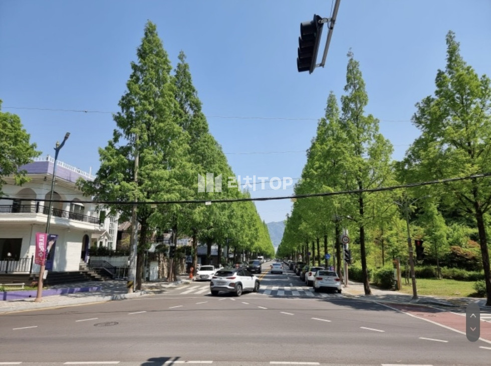 경남 창원시 성산구 용호동 ​​​​​​​\u2714\ufe0f창원 가로수길 상가임대 \u2714\ufe0f실39평 \u2714\ufe0f메인도로 전면 (광고노출&접근성 최고 위치) \u2714\ufe0f위치+평수대비 저렴한 월세 \u2714\ufe0f카페, 식당 등 추천! \u2714\ufe0f현재 음식점으로 그대로 양도양수가능 월세 매물번호 13087 사진 1