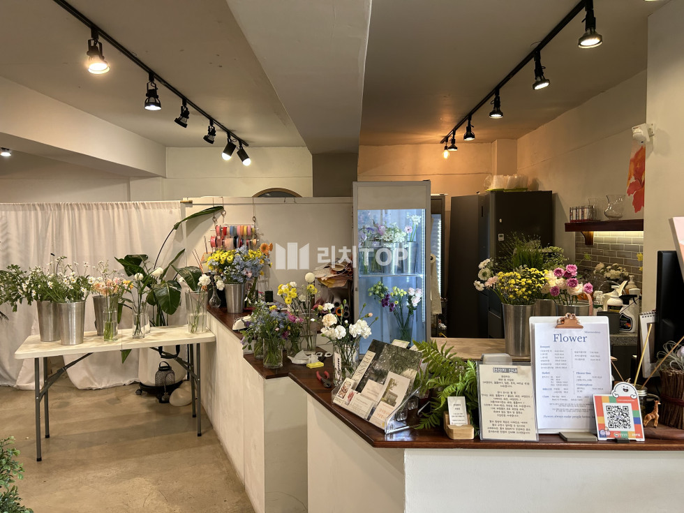 경남 창원시 의창구 팔용동 \ud83d\udc9b 팔용동 복지센터 인근 / 도로변 / 감성 인테리어 / 스튜디오,꽃집,공방 등 \ud83d\udc9b 월세 매물번호 13173 사진 1