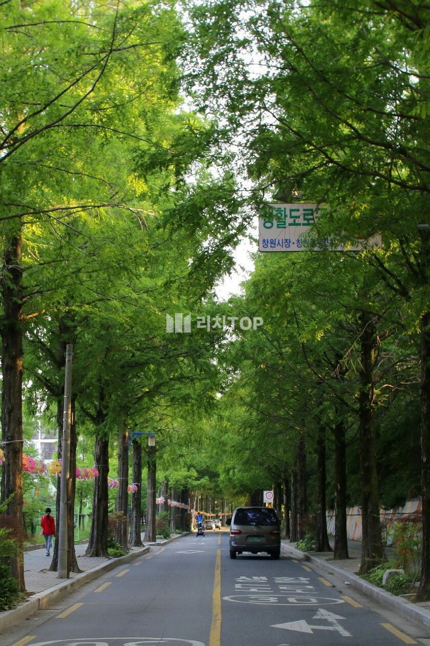 경남 창원시 성산구 용호동 가로수길 1층 같은 반지하 상가임대, 내부 인테리어 굿, 양도양수, 타업종 가능 월세 매물번호 13211 사진 1