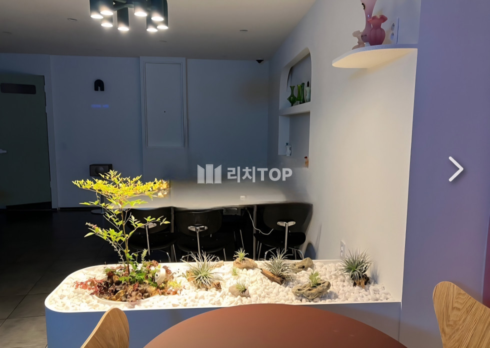 경남 창원시 의창구 도계동 도계동 도로변 코너각지, 1층 상가 임대 월세 매물번호 13301 사진 1