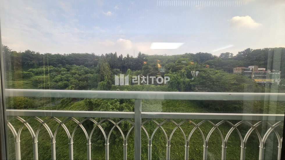 경남 창원시 의창구 서상동 \u2714\ufe0f 중동 대동 다숲 55타입 대형 평수 고층 최저가 전세 매물 / 매매도 가능 전세 매물번호 13390 사진 6