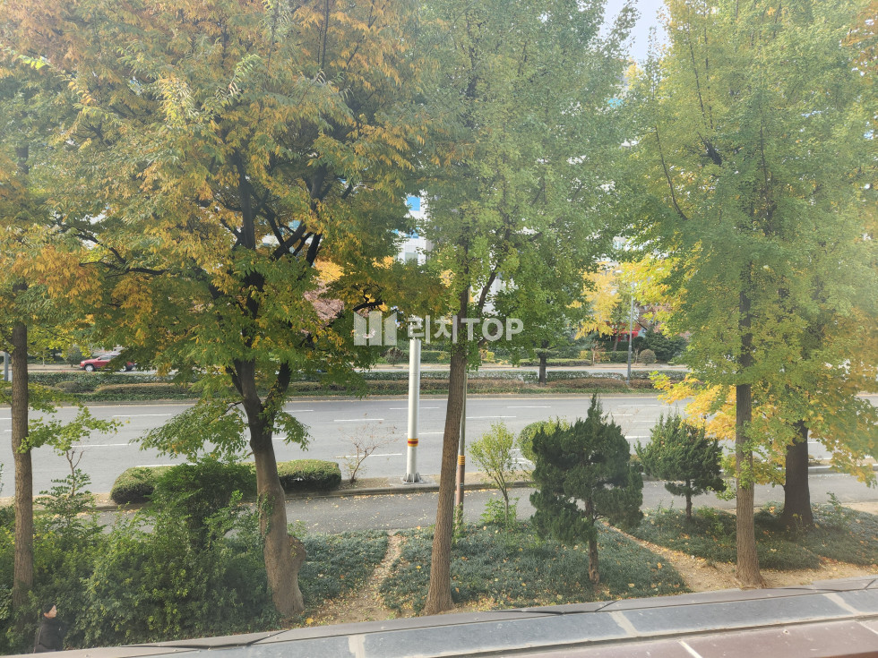 경남 창원시 성산구 상남동 상남동 메인 중심지 2층 상가 임대 월세 매물번호 13393 사진 2