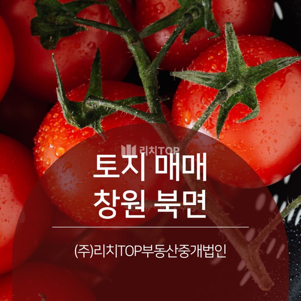 경남 창원시 의창구 북면 창원 북면 3,200평 자연녹지 매매, 다양한 활용, 현 유명 음식점 운영중 매매 매물번호 13514 사진 1