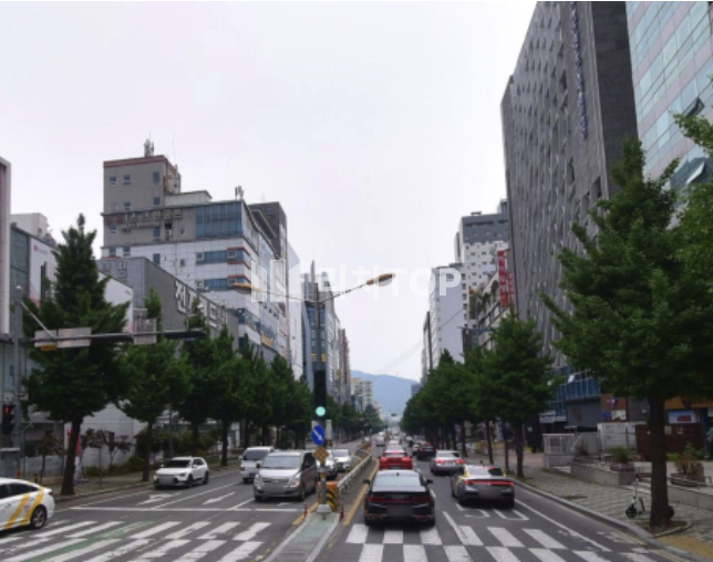 경남 창원시 성산구 상남동 창원 상남동 중심상업지역 메디컬 특화 빌딩, 87평 임대 월세 매물번호 13663 사진 4
