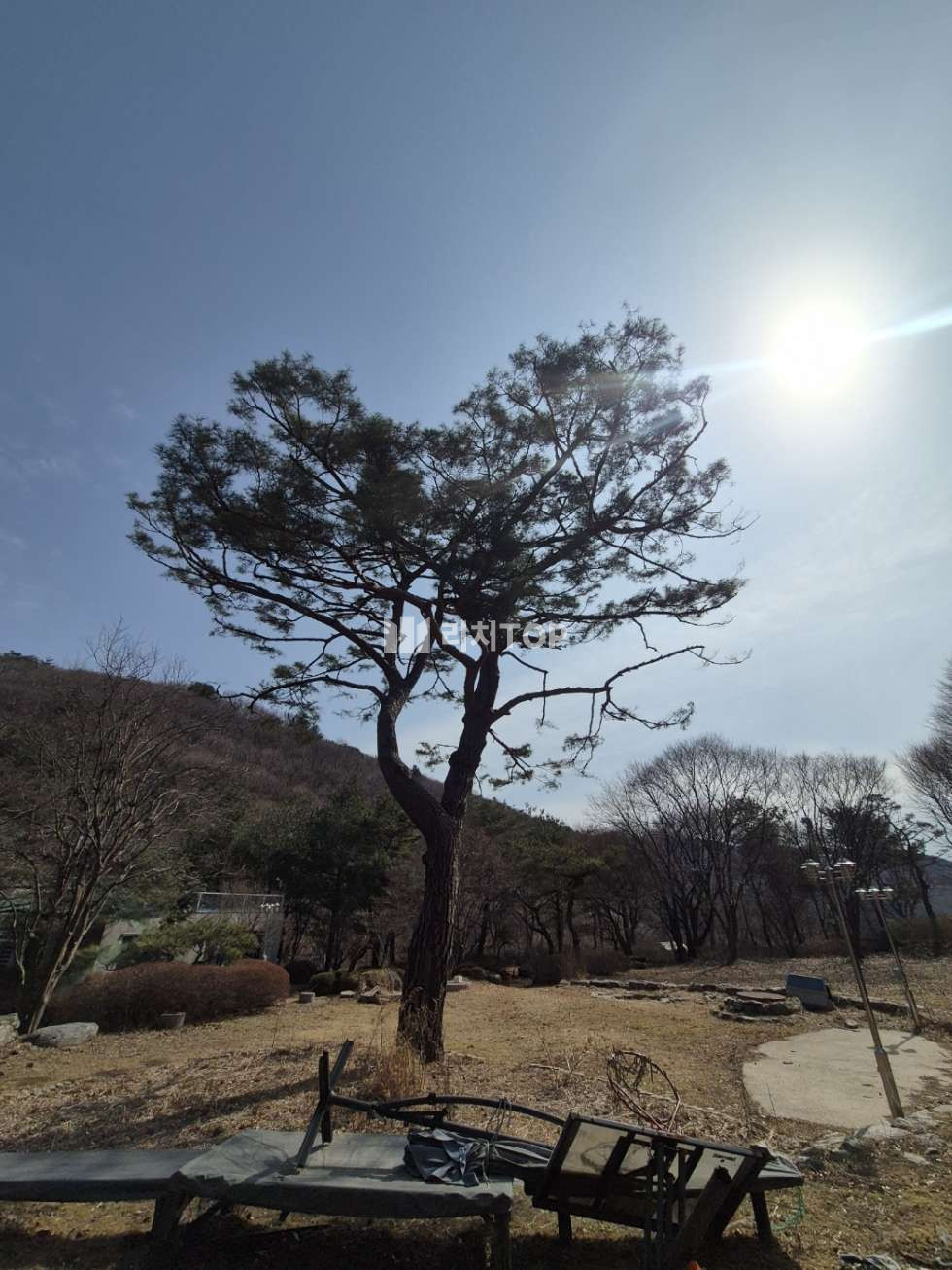 경기 양평군 용문면 연수리 경기도 양평군 용문면 용수리 1,828평 토지,건물 일괄 매매, 세컨하우스,별장,연수원 추천 매매 매물번호 10402 사진 3