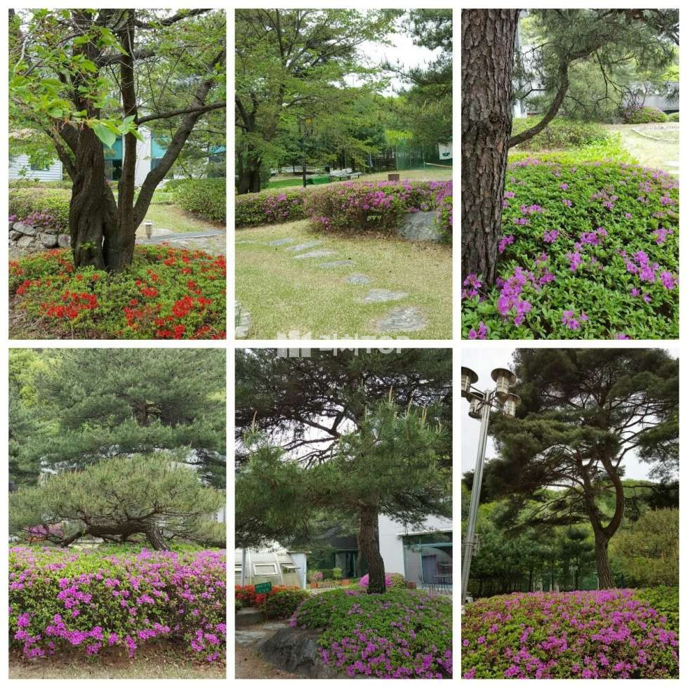 경기 양평군 용문면 연수리 경기도 양평군 용문면 용수리 1,828평 토지,건물 일괄 매매, 세컨하우스,별장,연수원 추천 매매 매물번호 10402 사진 7