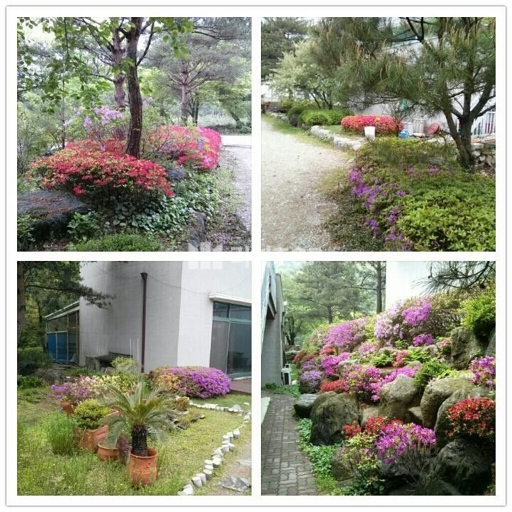 경기 양평군 용문면 연수리 경기도 양평군 용문면 용수리 1,828평 토지,건물 일괄 매매, 세컨하우스,별장,연수원 추천 매매 매물번호 10402 사진 8