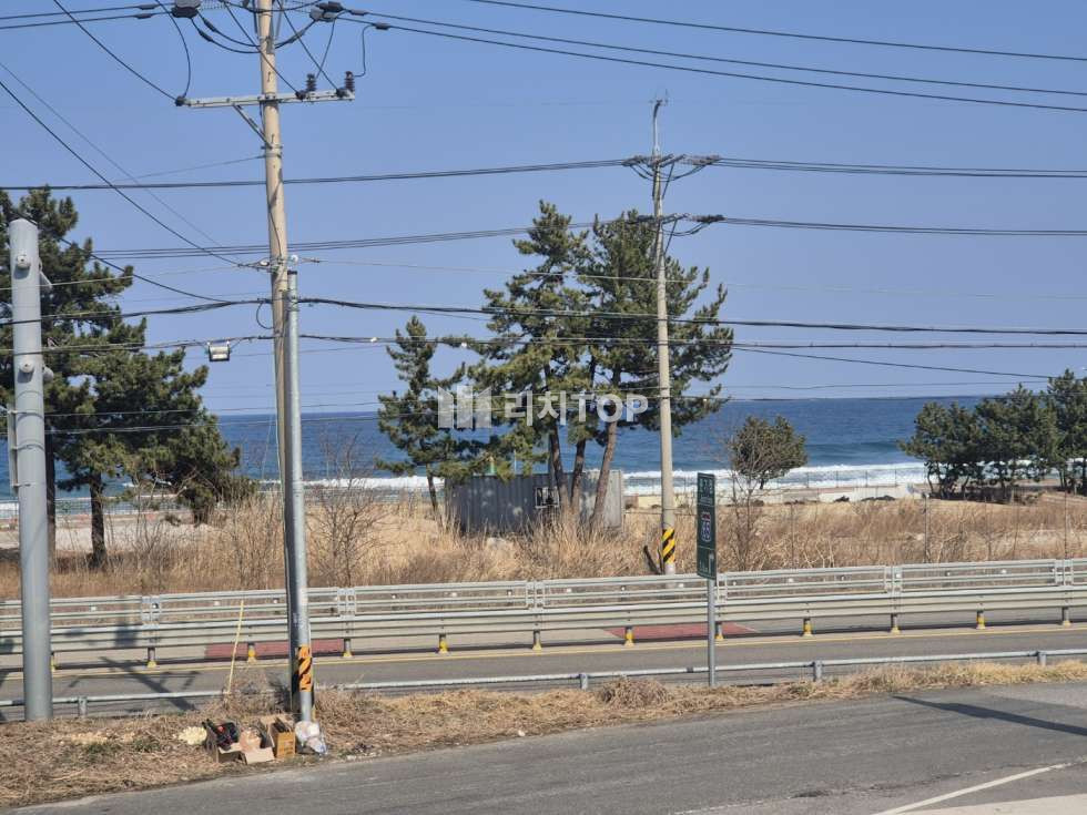 강원 양양군 현남면 원포리 강원도 양양군 현남면 원포리 나대지 731평 토지 매매 매매 매물번호 10403 사진 13