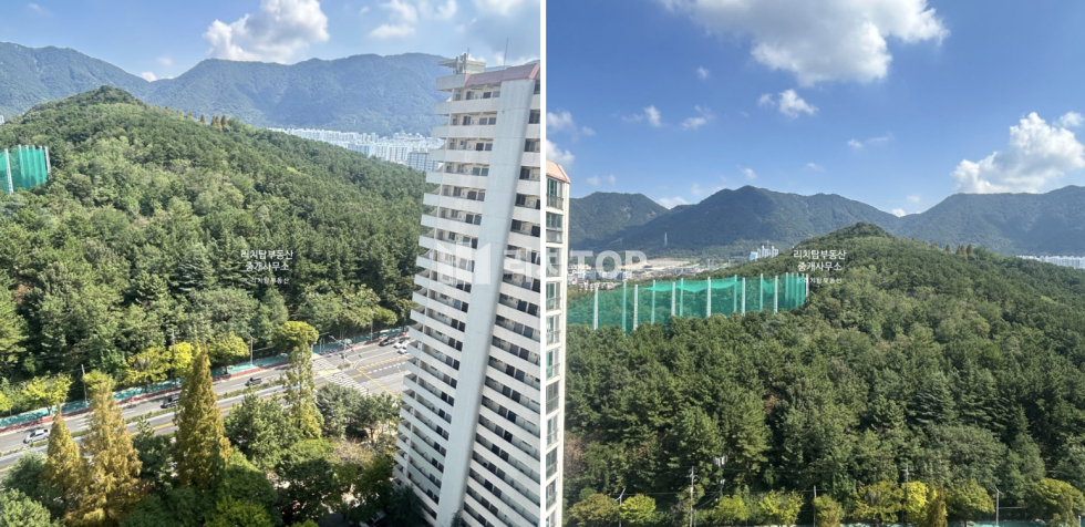 경남 창원시 성산구 상남동 상남동 토월성원아파트 21평 올수리 되어있는 탑층 매물 매매 매물번호 11415 사진 5