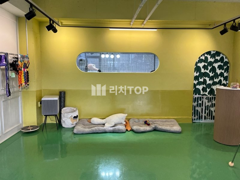 경남 창원시 의창구 서상동 \u2714 서상동 애견미용실 양도양수 월세 매물번호 11558 사진 1