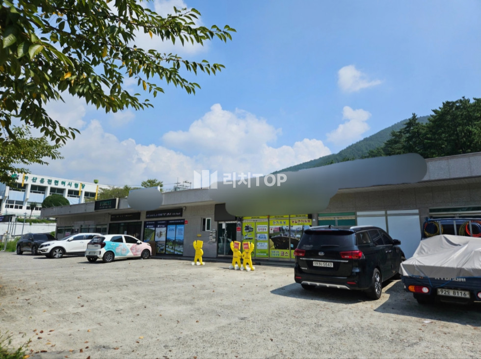 경남 창원시 마산합포구 진동면 \u2714 \ud83d\udc4d 투자추천 마산합포구 진동 면허시험장 단층건물 매매 매매 매물번호 11591 사진 4