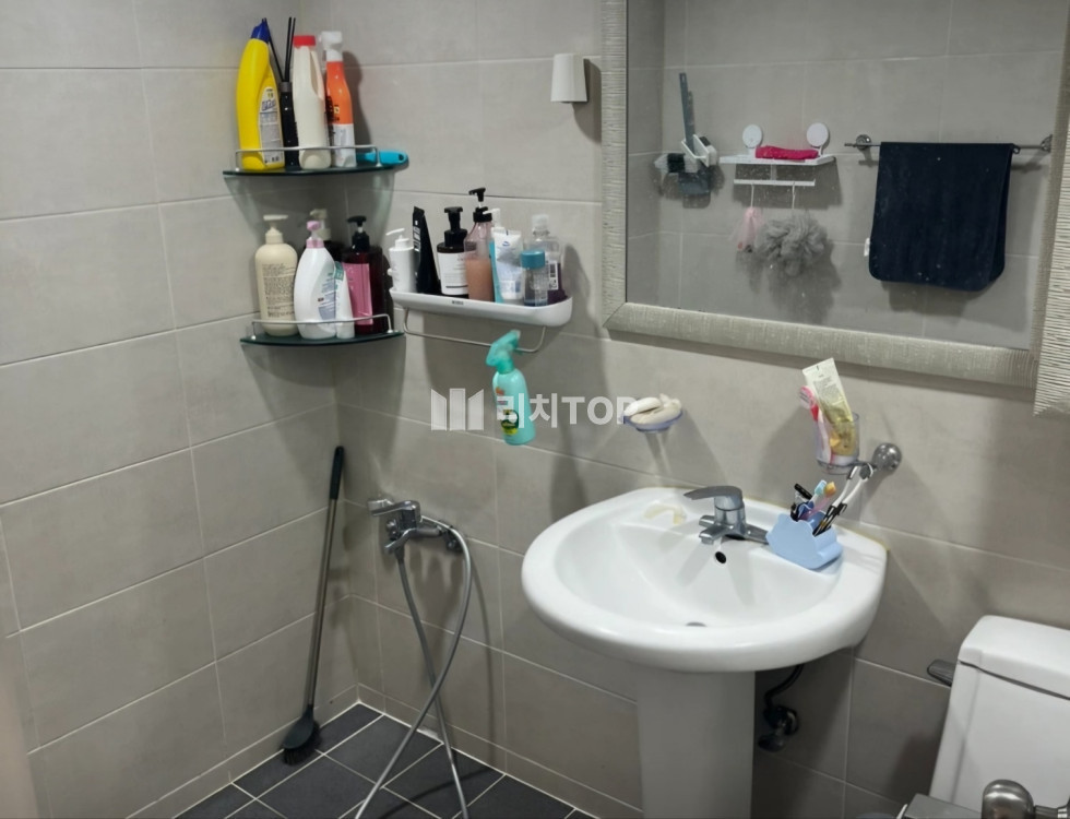 경남 창원시 성산구 남양동 풀옵션 전월세 모던스타일내부수리 3월초입주가능 월세 매물번호 11878 사진 1